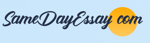 samedayessay logo