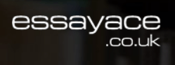 essayace logo